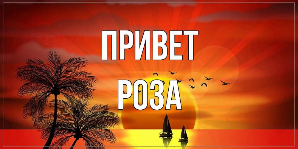 Открытка на каждый день с именем, Роза Привет привет Прикольная открытка с пожеланием онлайн скачать бесплатно 