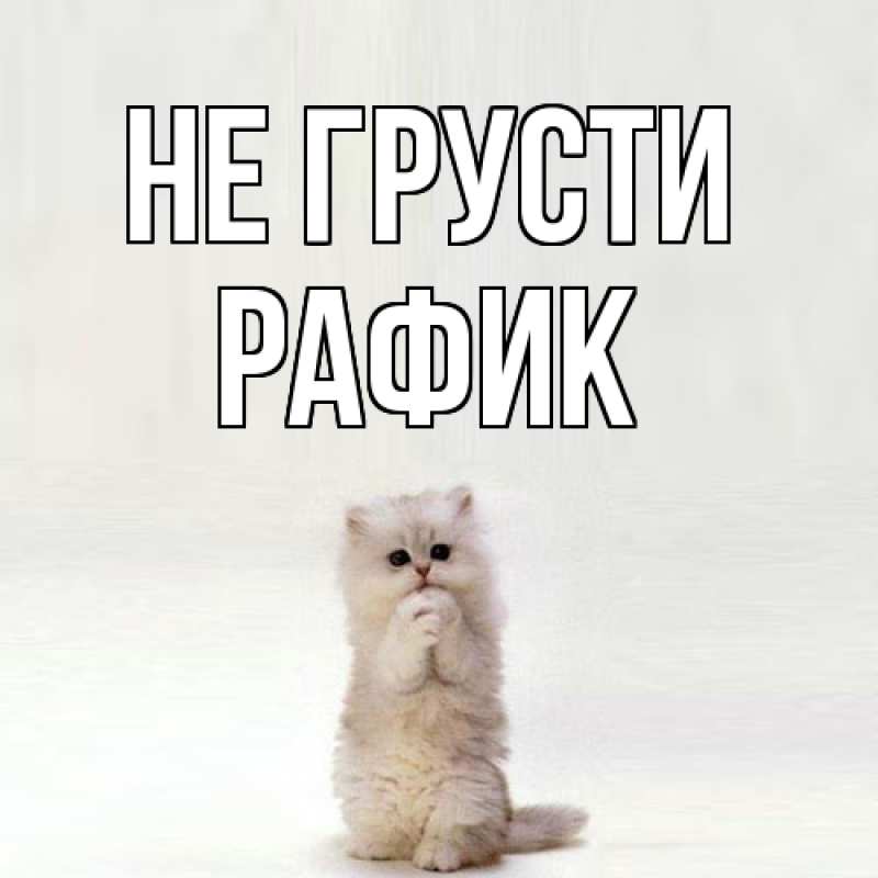Картинка Не грусти, Рафик