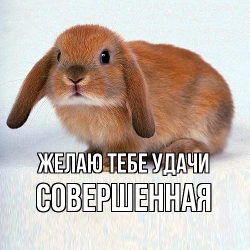 Картинка Желаю тебе удачи, Совершенная