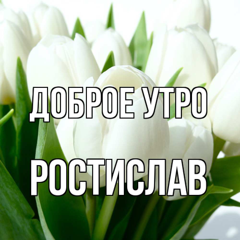 Открытка на каждый день с именем, Ростислав Доброе утро открытки на каждый день по именам Прикольная открытка с пожеланием онлайн скачать бесплатно 