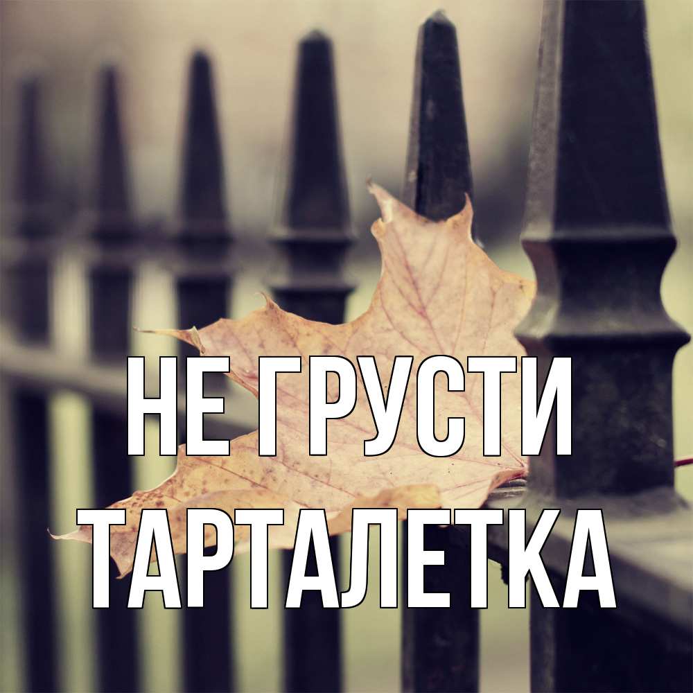 Открытка на каждый день с именем, Тарталетка Не грусти лист клена Прикольная открытка с пожеланием онлайн скачать бесплатно 