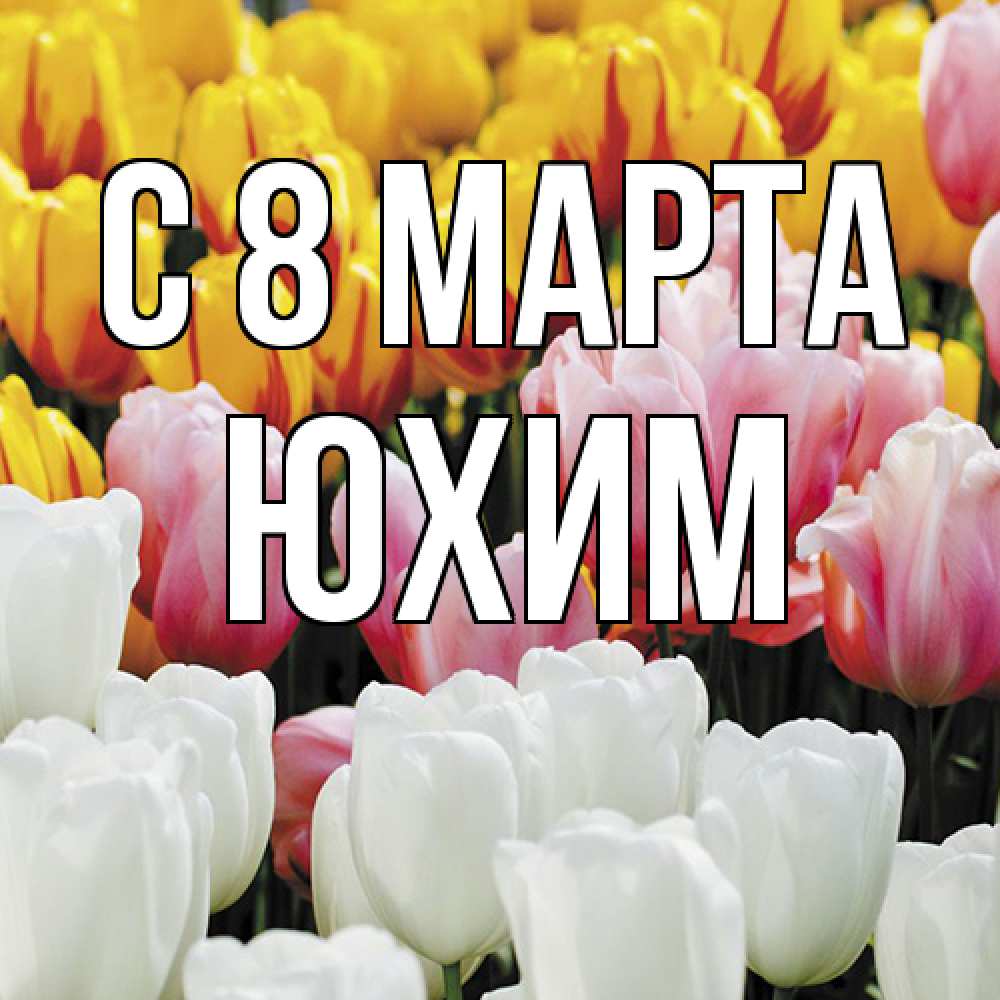 Открытка на каждый день с именем, Юхим C 8 МАРТА разноцветные цветы Прикольная открытка с пожеланием онлайн скачать бесплатно 