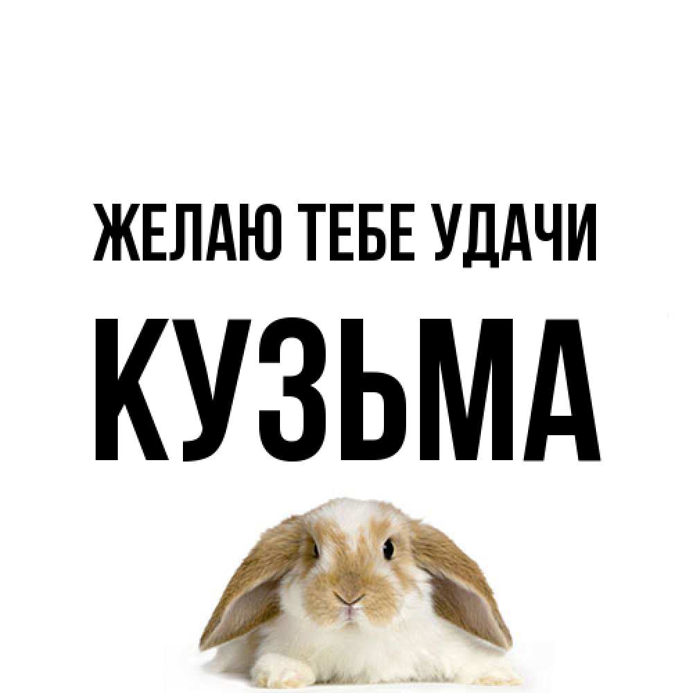Открытка на каждый день с именем, Кузьма Желаю тебе удачи открытки с произвольным текстом который можно вставить в открытку и создать ее самостоятельно бесплатно онлайн Прикольная открытка с пожеланием онлайн скачать бесплатно 