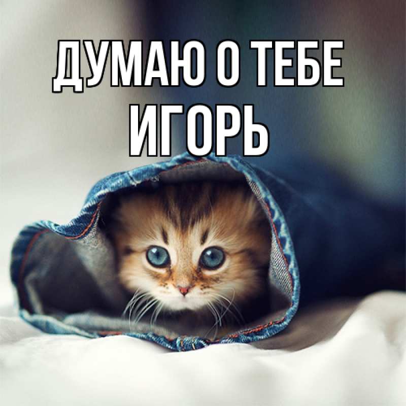 Картинка Думаю о тебе, Игорь