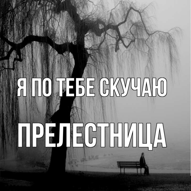 Картинка Я по тебе скучаю, пpелестница