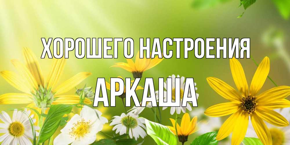 Открытка на каждый день с именем, Аркаша Хорошего настроения цветы Прикольная открытка с пожеланием онлайн скачать бесплатно 