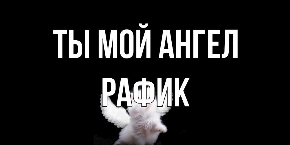 Открытка на каждый день с именем, Рафик Ты мой ангел Кот ангел Прикольная открытка с пожеланием онлайн скачать бесплатно 