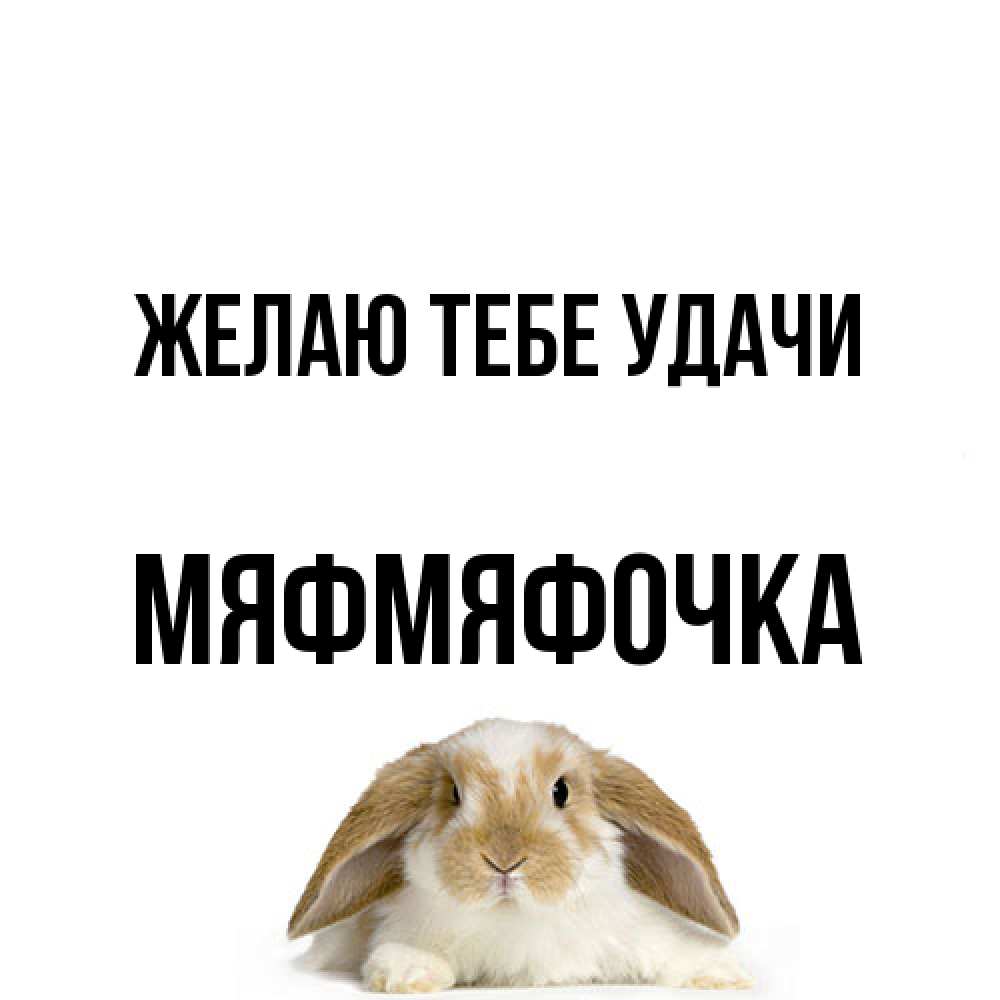 Открытка на каждый день с именем, мяфмяфочка Желаю тебе удачи открытки с произвольным текстом который можно вставить в открытку и создать ее самостоятельно бесплатно онлайн Прикольная открытка с пожеланием онлайн скачать бесплатно 