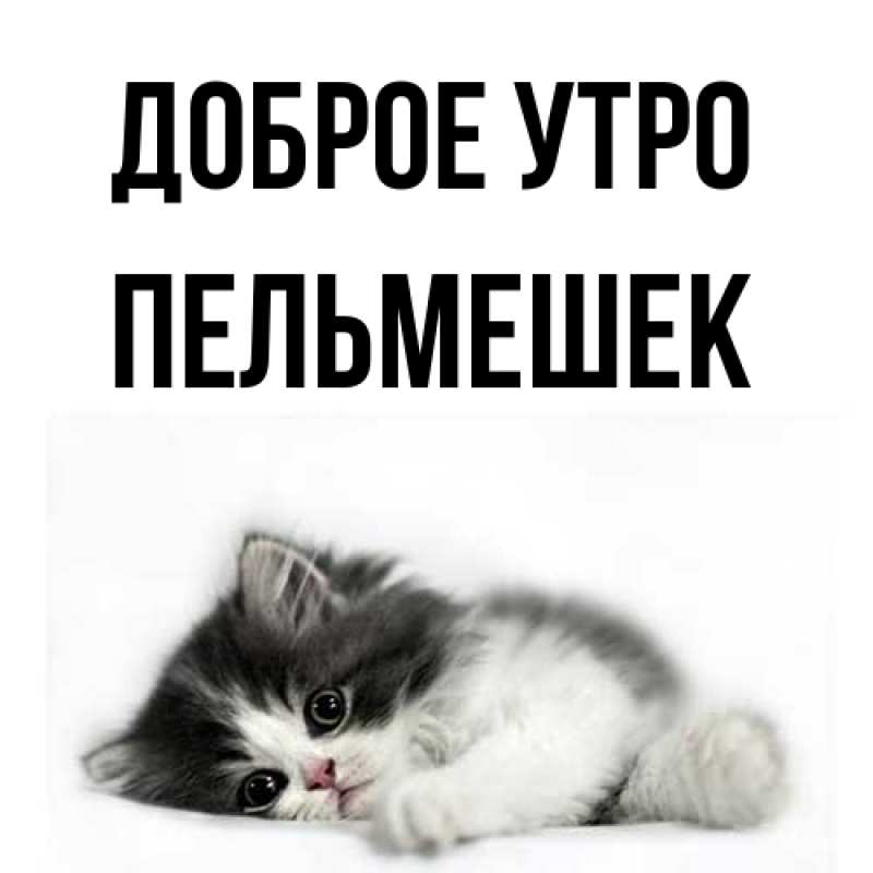 Картинка Доброе утро, пельмешек