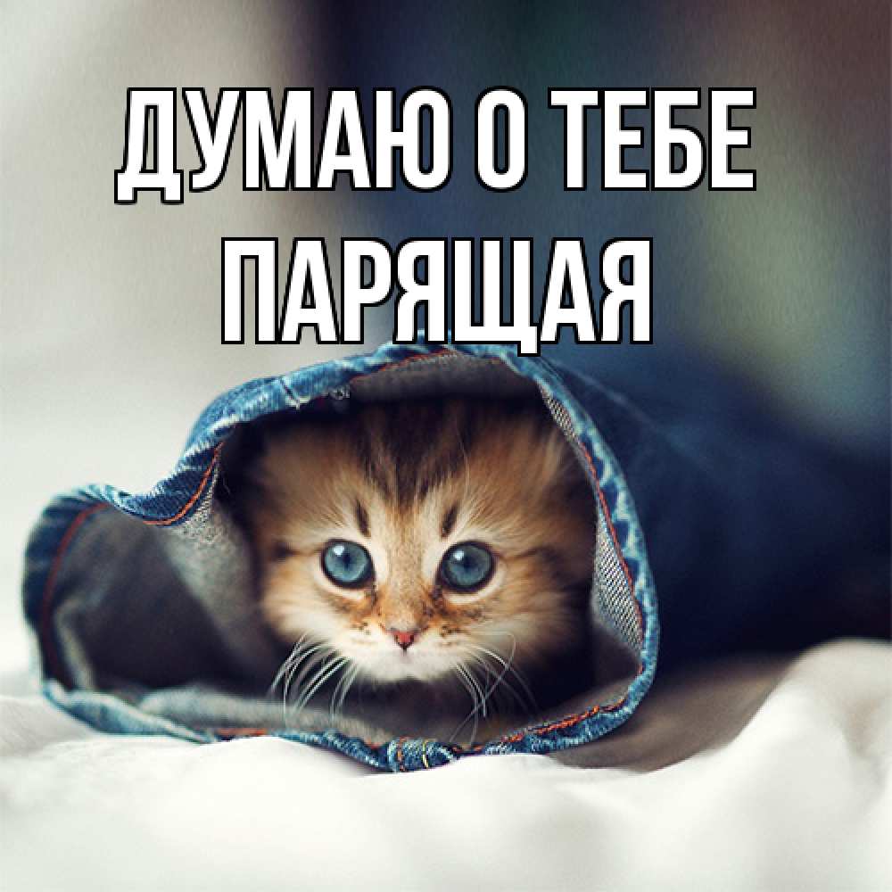 Открытка на каждый день с именем, Парящая Думаю о тебе мне без тебя плохо Прикольная открытка с пожеланием онлайн скачать бесплатно 