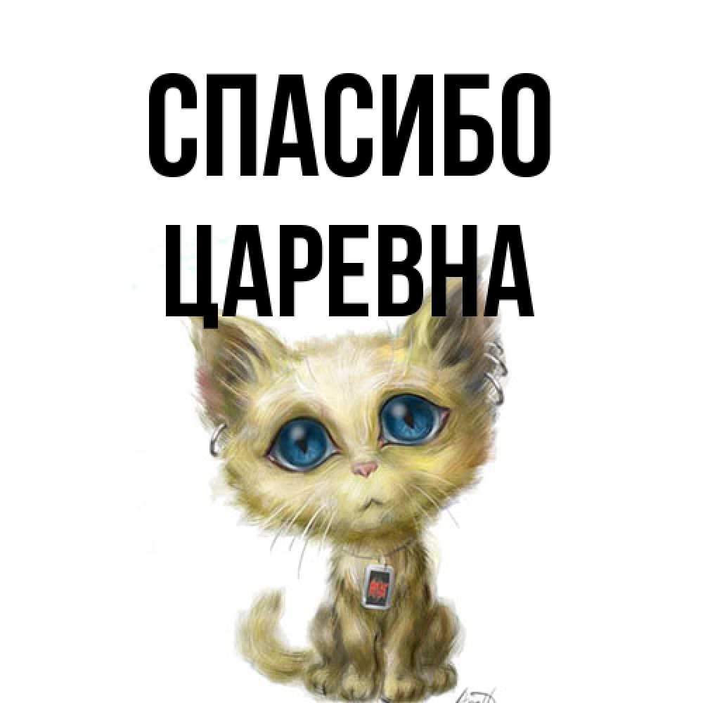 Открытка на каждый день с именем, царевна Спасибо рисованный кот благодарит вас Прикольная открытка с пожеланием онлайн скачать бесплатно 