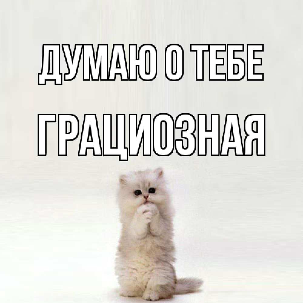 Открытка на каждый день с именем, Гpациозная Думаю о тебе кот стоит на задних лапах Прикольная открытка с пожеланием онлайн скачать бесплатно 