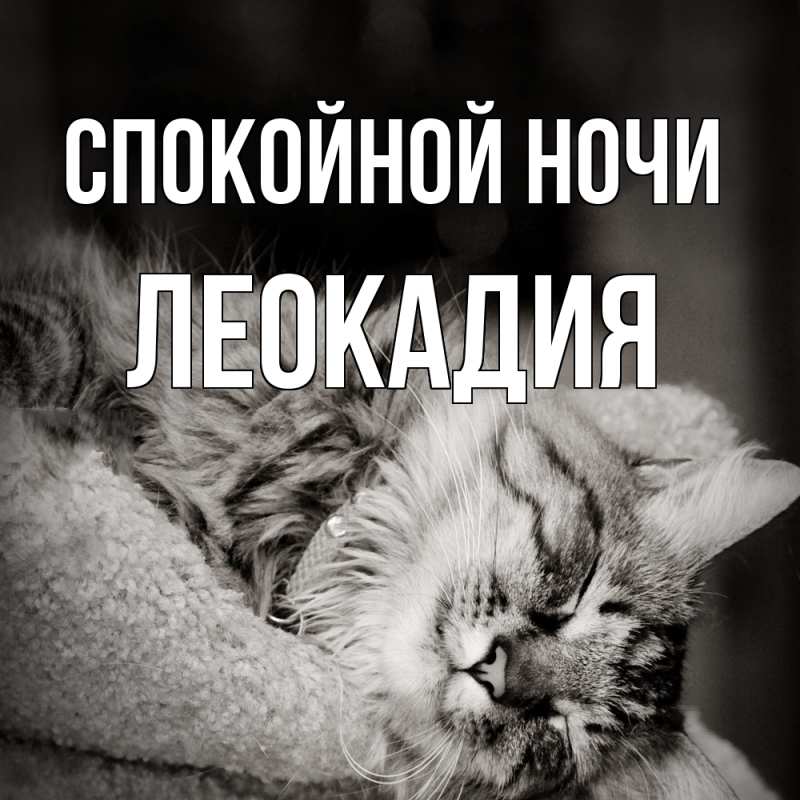Картинка Спокойной ночи, Леокадия