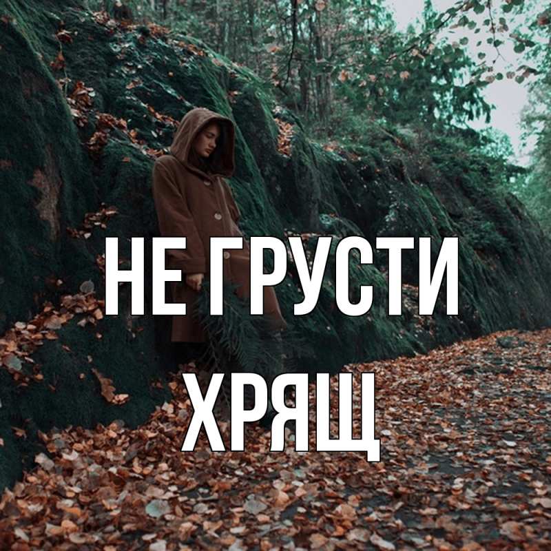 Картинка Не грусти, Хрящ