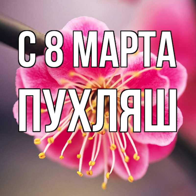 Картинка C 8 МАРТА, пухляш