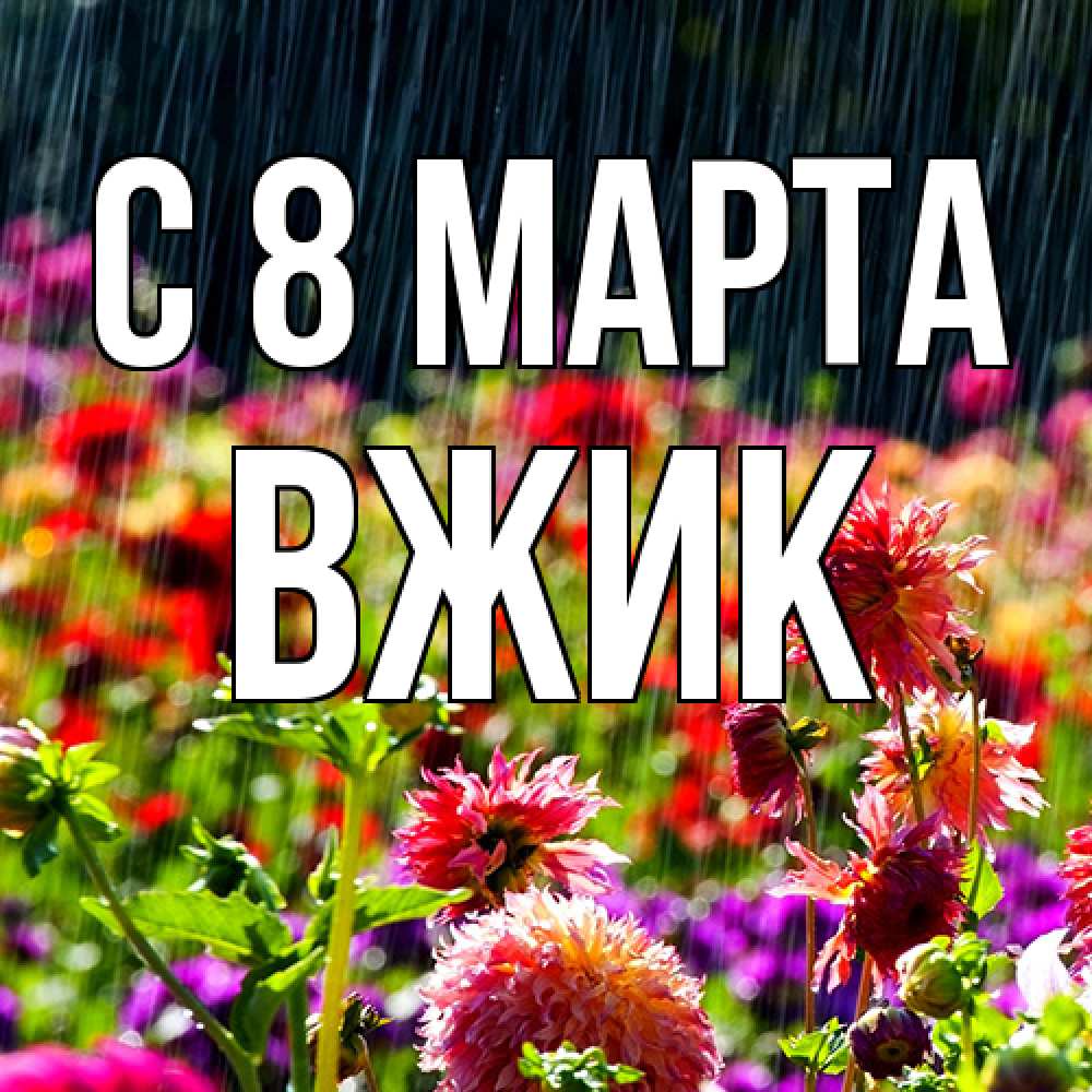 Открытка на каждый день с именем, Вжик C 8 МАРТА цветы под дождиком к международному женскому дню Прикольная открытка с пожеланием онлайн скачать бесплатно 