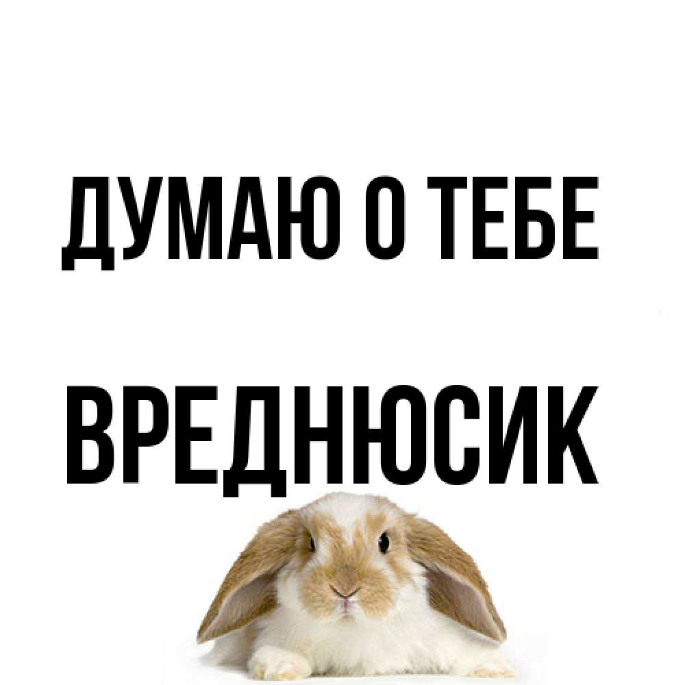 Открытка на каждый день с именем, Вреднюсик Думаю о тебе подписать своими руками онлайн Прикольная открытка с пожеланием онлайн скачать бесплатно 