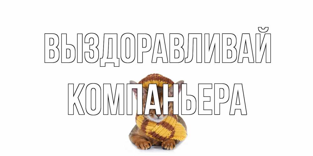 Открытка на каждый день с именем, Компаньера Выздоравливай родные не болейте Прикольная открытка с пожеланием онлайн скачать бесплатно 
