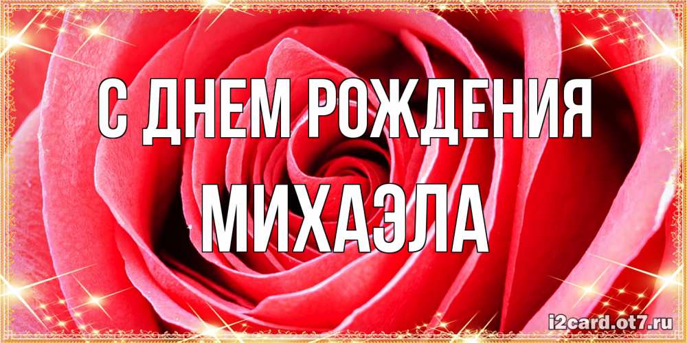 Открытка на каждый день с именем, Михаэла С днем рождения розовая роза очень крупный бутон Прикольная открытка с пожеланием онлайн скачать бесплатно 