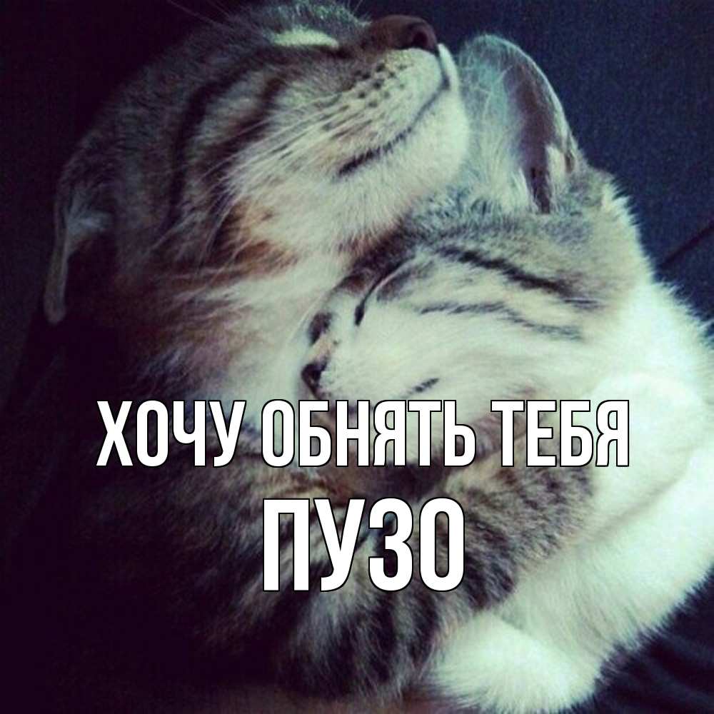 Открытка на каждый день с именем, Пузо Хочу обнять тебя полосатики Прикольная открытка с пожеланием онлайн скачать бесплатно 