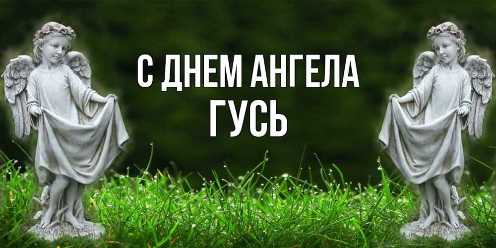 Открытка на каждый день с именем, Гусь С днем ангела небо, ангел, девушка Прикольная открытка с пожеланием онлайн скачать бесплатно 