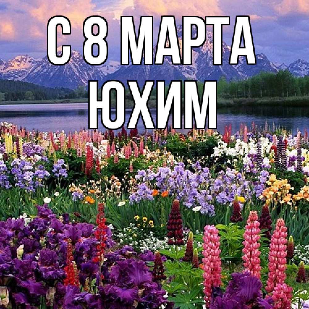 Открытка на каждый день с именем, Юхим C 8 МАРТА международный женский день Прикольная открытка с пожеланием онлайн скачать бесплатно 