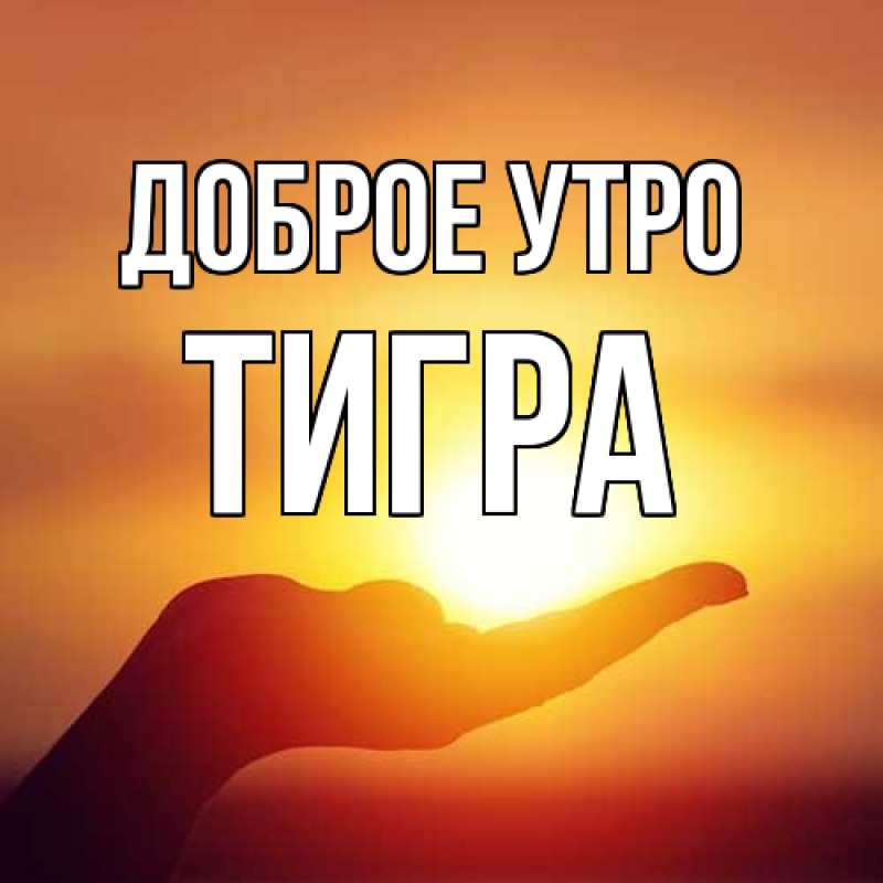 Картинка Доброе утро, Тигpа