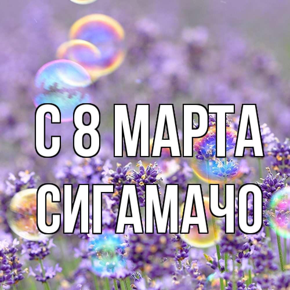 Открытка на каждый день с именем, Сигамачо C 8 МАРТА цветы Прикольная открытка с пожеланием онлайн скачать бесплатно 