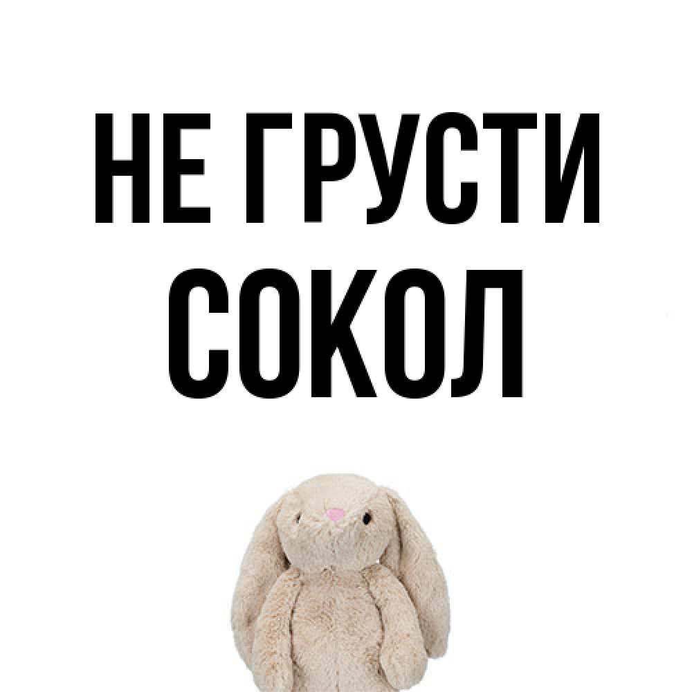 Открытка на каждый день с именем, Сокол Не грусти детская игрушка зайчика Прикольная открытка с пожеланием онлайн скачать бесплатно 
