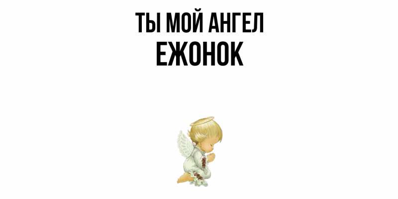 Картинка Ты мой ангел, Ежонок