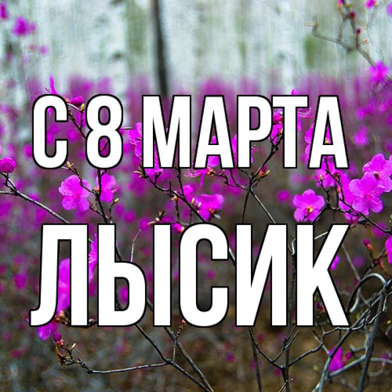 Картинка C 8 МАРТА, Лысик