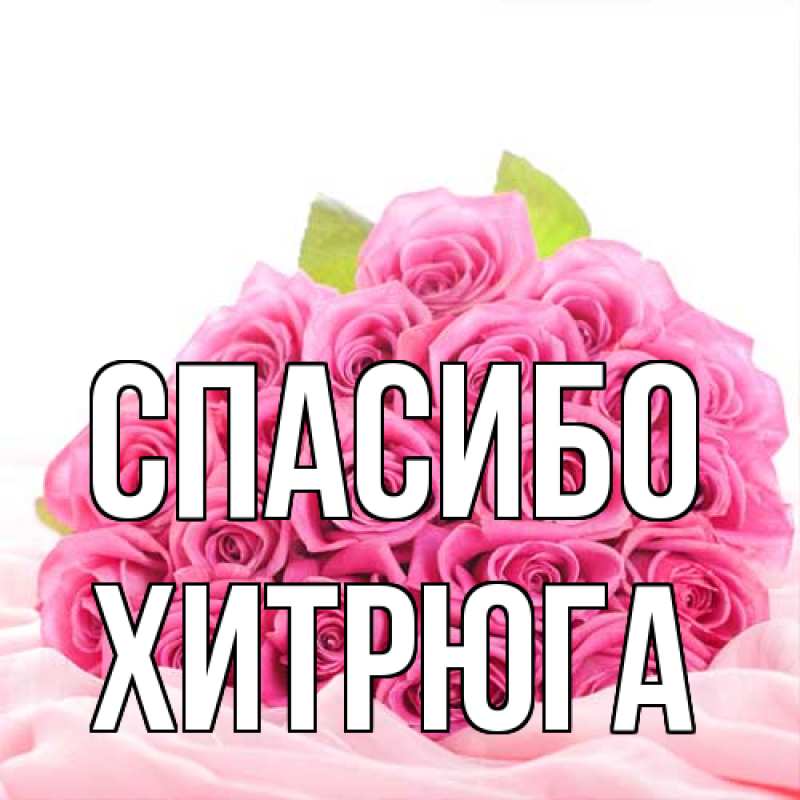 Картинка Спасибо, хитрюга