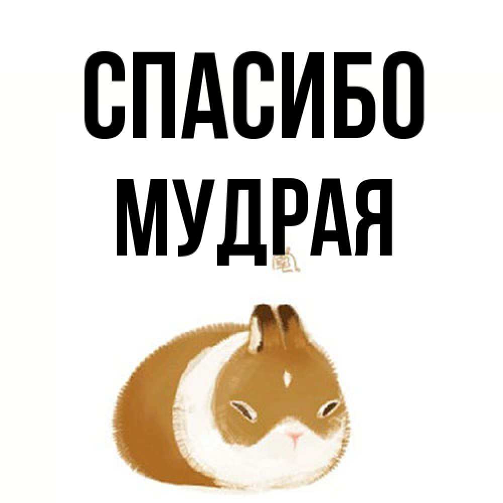 Открытка на каждый день с именем, мудрая Спасибо коричнево белый домашний питомец Прикольная открытка с пожеланием онлайн скачать бесплатно 