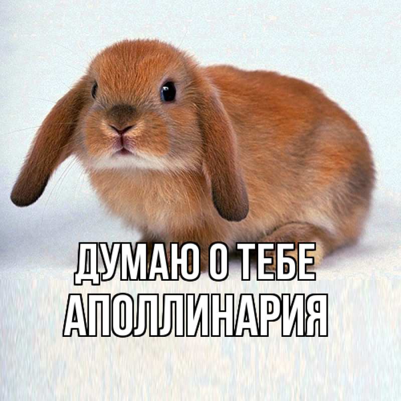 Картинка Думаю о тебе, Аполлинария