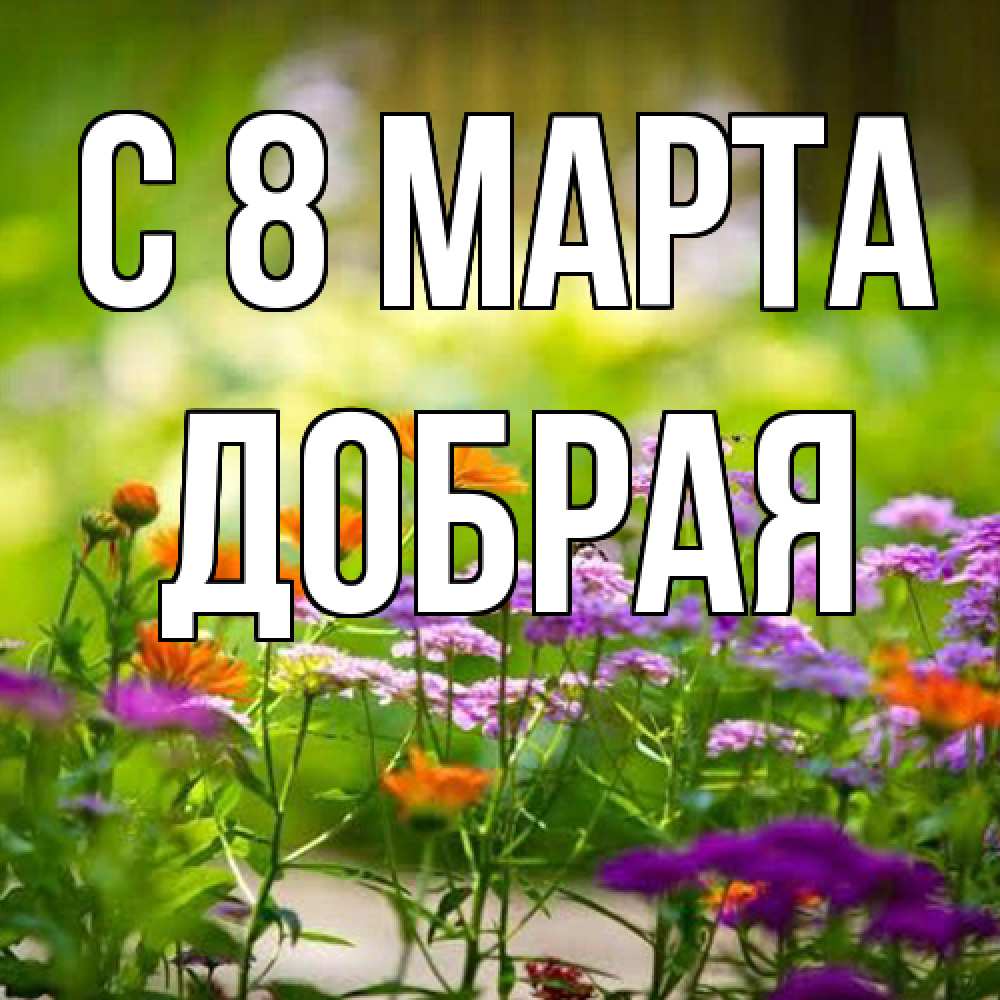Открытка на каждый день с именем, Добрая C 8 МАРТА цветы Прикольная открытка с пожеланием онлайн скачать бесплатно 