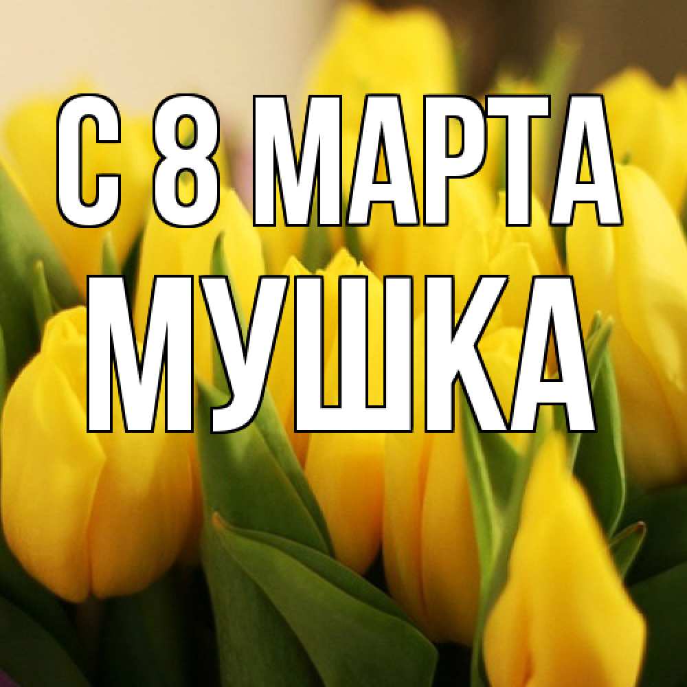 Открытка на каждый день с именем, мушка C 8 МАРТА цветы Прикольная открытка с пожеланием онлайн скачать бесплатно 