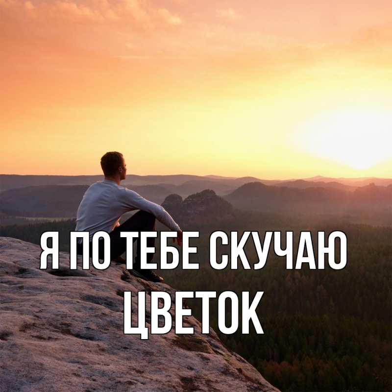 Картинка Я по тебе скучаю, Цветок
