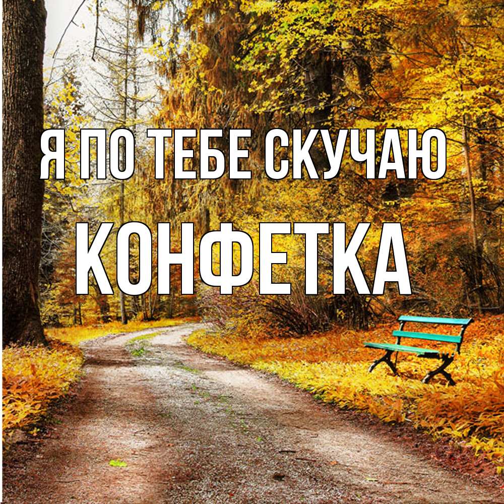 Открытка на каждый день с именем, Конфетка Я по тебе скучаю зеленая лавочка и осенний лес Прикольная открытка с пожеланием онлайн скачать бесплатно 