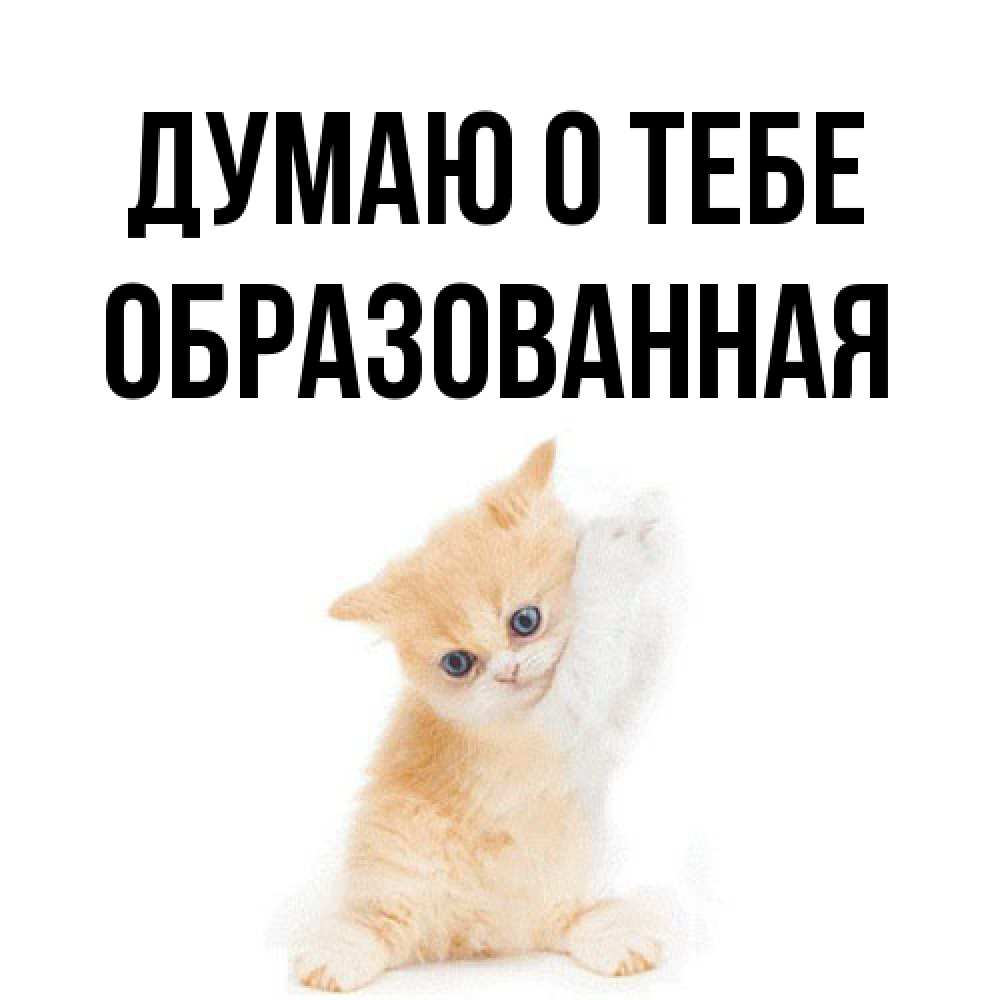 Открытка на каждый день с именем, Обpазованная Думаю о тебе зверушки и милота Прикольная открытка с пожеланием онлайн скачать бесплатно 