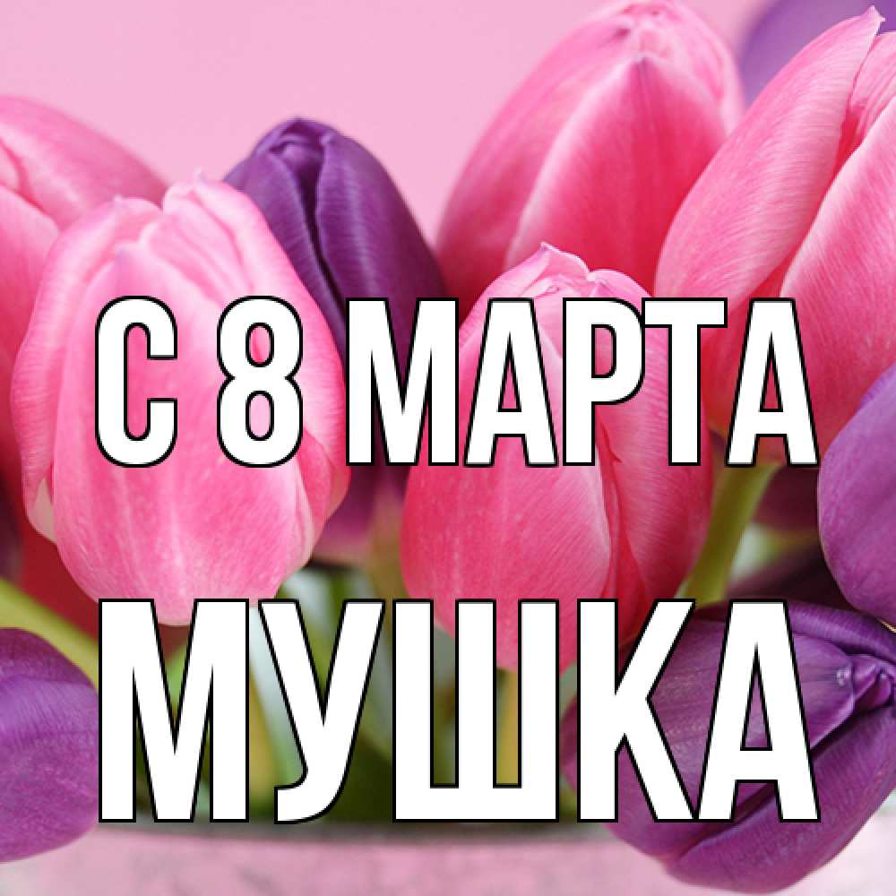 Открытка на каждый день с именем, мушка C 8 МАРТА маме 1 Прикольная открытка с пожеланием онлайн скачать бесплатно 