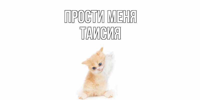 Картинка Прости меня, Таисия