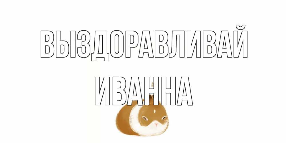 Открытка на каждый день с именем, Иванна Выздоравливай морская свинка на открытке с пожеланиями не болеть Прикольная открытка с пожеланием онлайн скачать бесплатно 