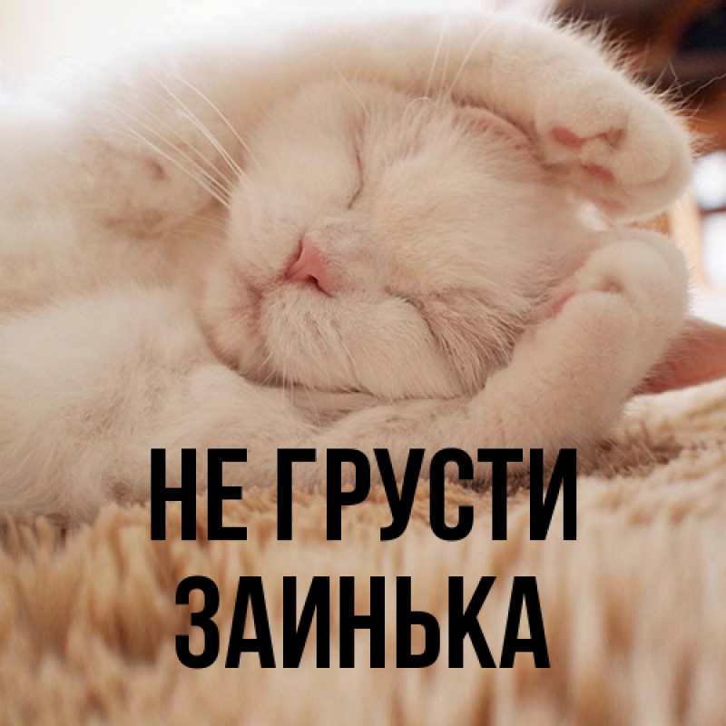 Картинка Не грусти, Заинька