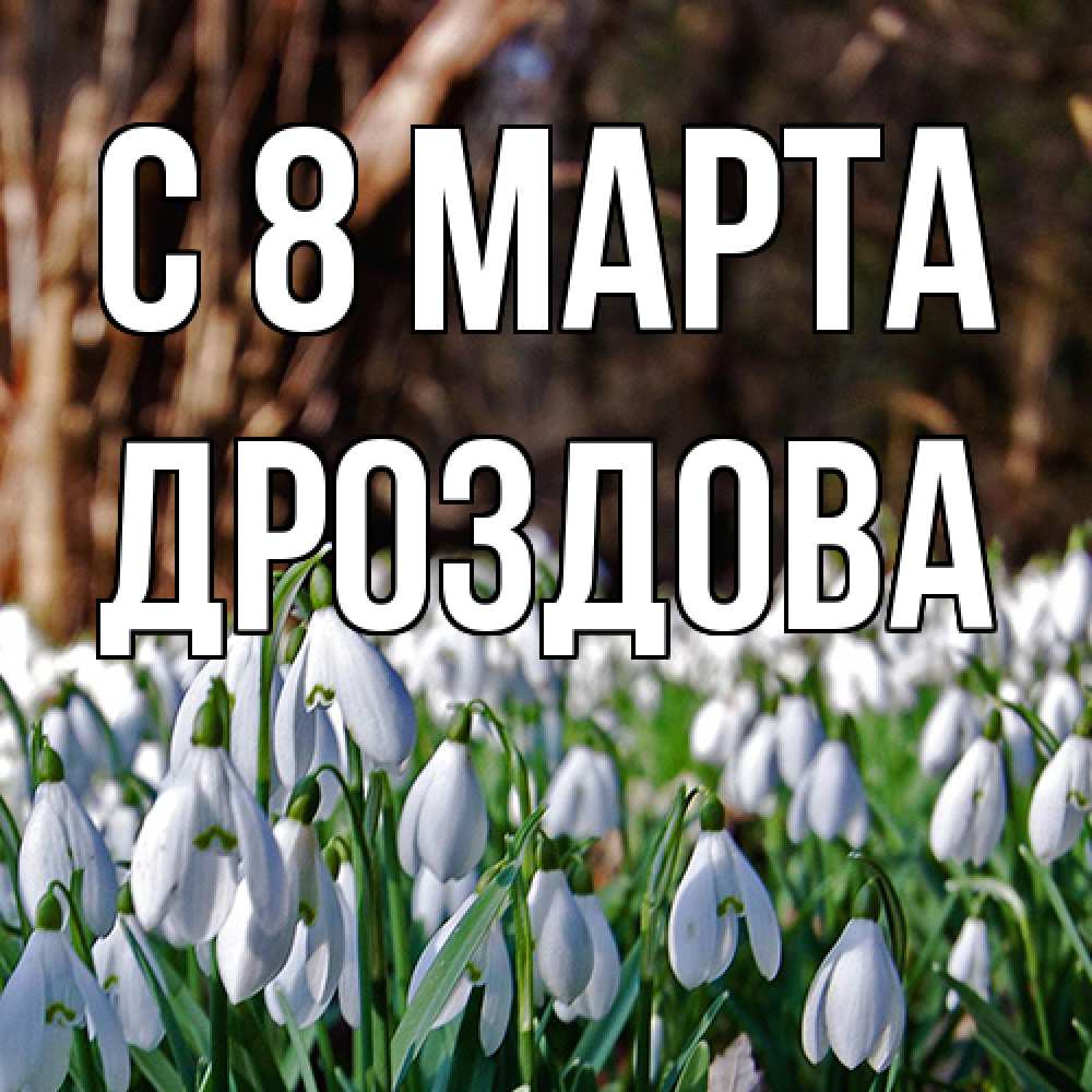 Открытка на каждый день с именем, Дроздова C 8 МАРТА с подснежниками 1 Прикольная открытка с пожеланием онлайн скачать бесплатно 