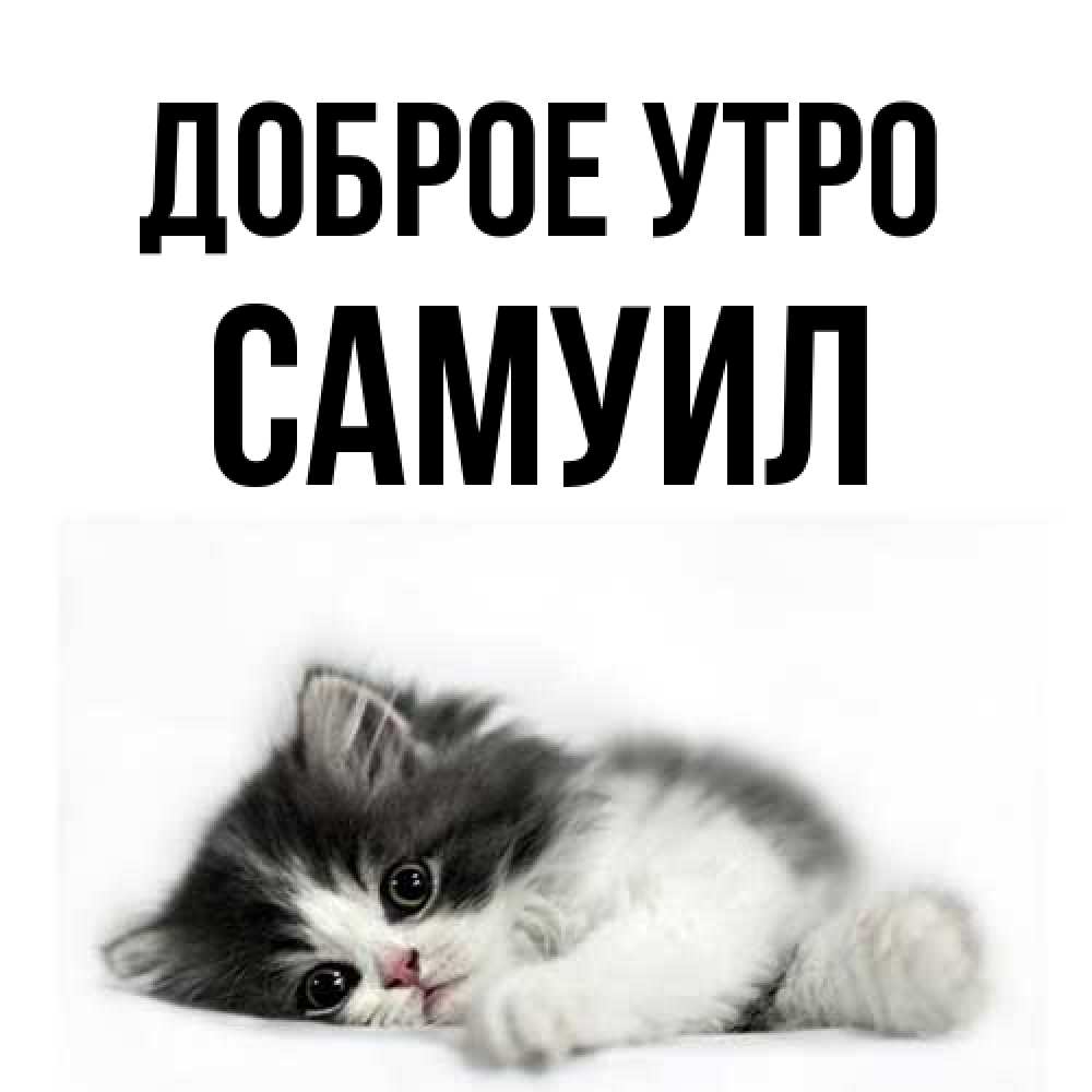 Открытка на каждый день с именем, Самуил Доброе утро кот лапки Прикольная открытка с пожеланием онлайн скачать бесплатно 