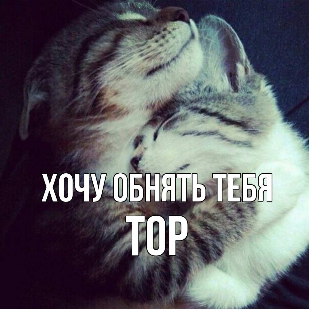 Открытка на каждый день с именем, Тор Хочу обнять тебя полосатики Прикольная открытка с пожеланием онлайн скачать бесплатно 