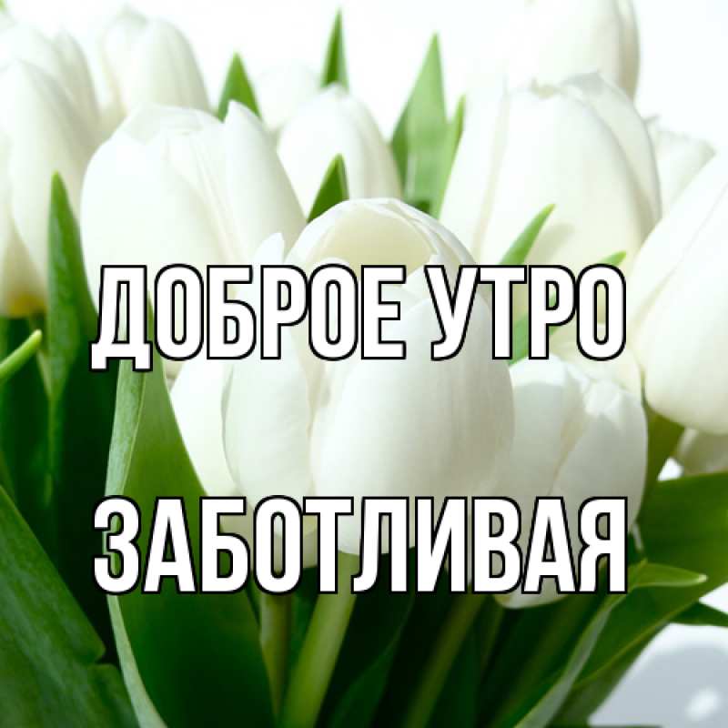 Картинка Доброе утро, Заботливая