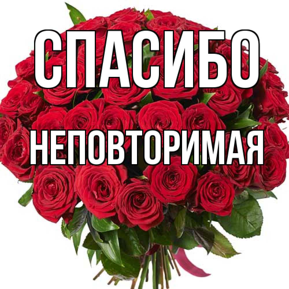 Открытка на каждый день с именем, Hеповтоpимая Спасибо букет красных роз Прикольная открытка с пожеланием онлайн скачать бесплатно 