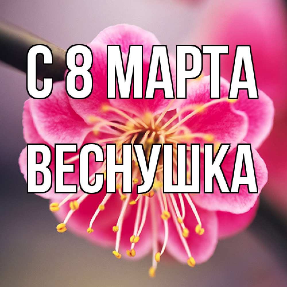 Открытка на каждый день с именем, веснушка C 8 МАРТА цветы Прикольная открытка с пожеланием онлайн скачать бесплатно 