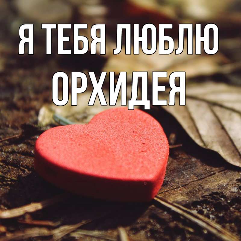 Картинка Я тебя люблю, Орхидея